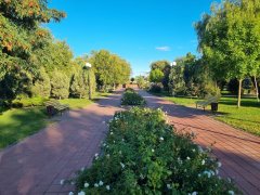 Фото велопокатушек и ПВД 43050