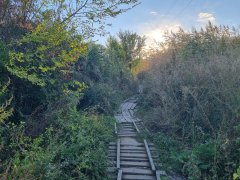 Фото велопокатушек и ПВД 43050