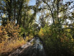 Фото велопокатушек и ПВД 43069