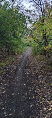 Фото велопокатушек и ПВД 43093