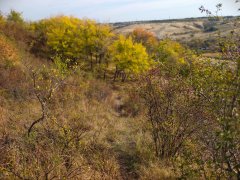 Фото велопокатушек и ПВД 43114