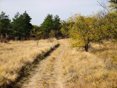 Фото велопокатушек и ПВД 43116