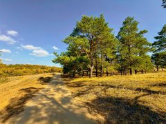 Фото велопокатушек и ПВД 43124