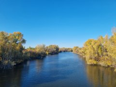 Фото велопокатушек и ПВД 43130