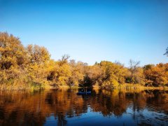 Фото велопокатушек и ПВД 43141