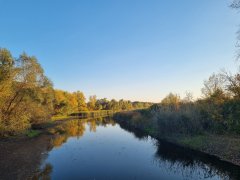 Фото велопокатушек и ПВД 43143