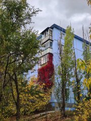 Фото велопокатушек и ПВД 43145