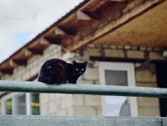 Фото велопокатушек и ПВД 43145