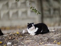Фото велопокатушек и ПВД 43146