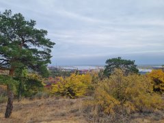Фото велопокатушек и ПВД 43154