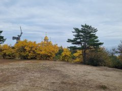 Фото велопокатушек и ПВД 43155
