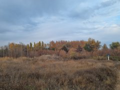 Фото велопокатушек и ПВД 43174