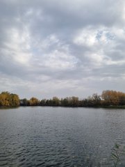 Фото велопокатушек и ПВД 43183