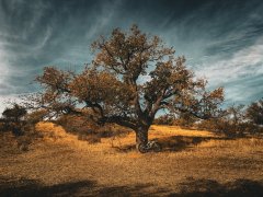 Фото велопокатушек и ПВД 43185