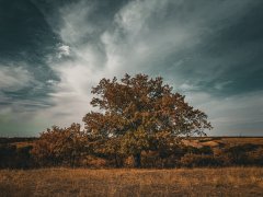 Фото велопокатушек и ПВД 43185