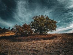 Фото велопокатушек и ПВД 43185