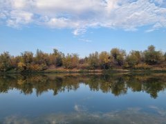 Фото велопокатушек и ПВД 43196