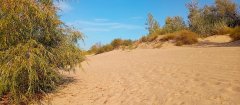 Фото велопокатушек и ПВД 43198