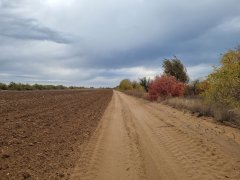 Фото велопокатушек и ПВД 43217