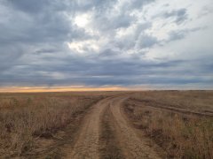 Фото велопокатушек и ПВД 43217