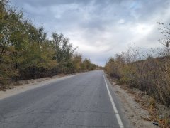 Фото велопокатушек и ПВД 43217