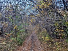 Фото велопокатушек и ПВД 43229