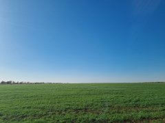 Фото велопокатушек и ПВД 43238
