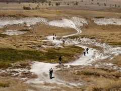 Фото велопокатушек и ПВД 43242
