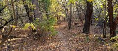 Фото велопокатушек и ПВД 43255