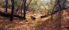 Фото велопокатушек и ПВД 43256
