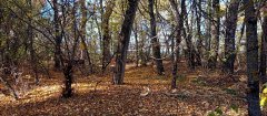 Фото велопокатушек и ПВД 43256