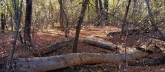 Фото велопокатушек и ПВД 43256