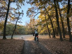 Фото велопокатушек и ПВД 43274