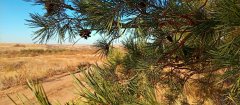 Фото велопокатушек и ПВД 43285