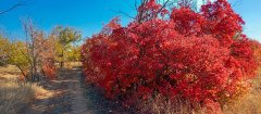 Фото велопокатушек и ПВД 43285