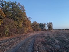 Фото велопокатушек и ПВД 43296