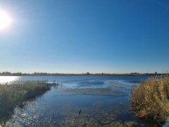 Фото велопокатушек и ПВД 43330