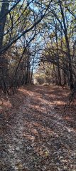 Фото велопокатушек и ПВД 43331