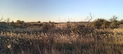 Фото велопокатушек и ПВД 43331