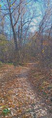 Фото велопокатушек и ПВД 43332