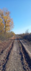 Фото велопокатушек и ПВД 43332