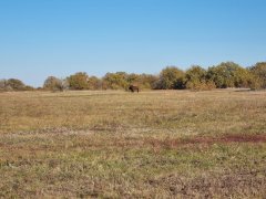 Фото велопокатушек и ПВД 43340