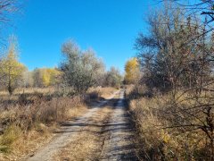 Фото велопокатушек и ПВД 43344