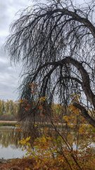Фото велопокатушек и ПВД 43351