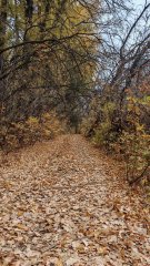 Фото велопокатушек и ПВД 43351