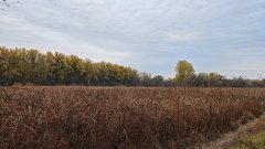 Фото велопокатушек и ПВД 43351