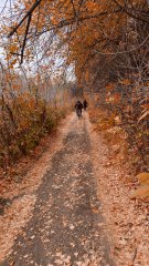Фото велопокатушек и ПВД 43352