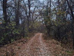 Фото велопокатушек и ПВД 43355