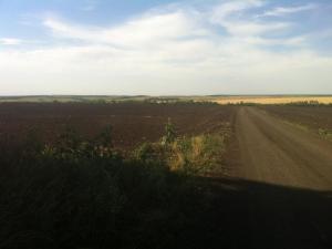 IMG_0567.JPG