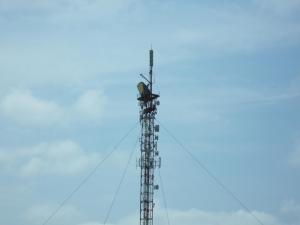 GEDC0299.JPG